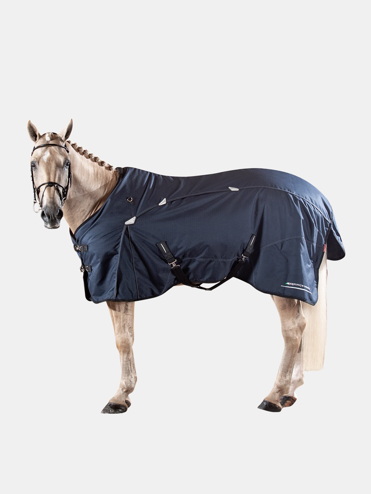 Equiline NED medium weight turnout blanket