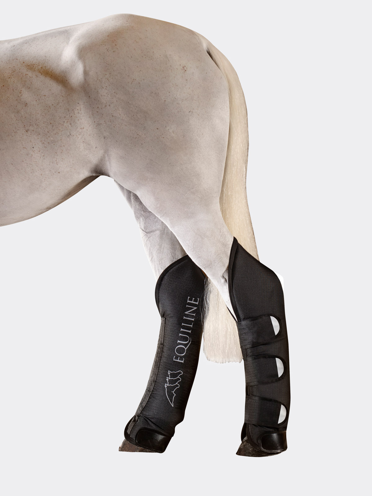 Equiline rex shipping boots