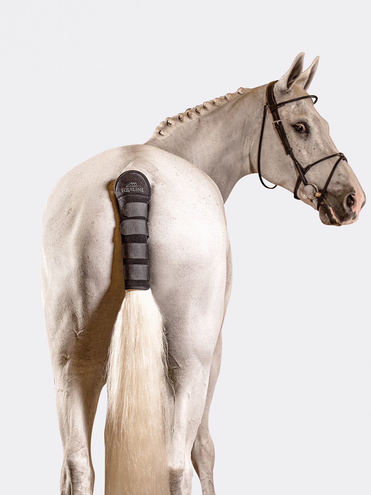 Equiline Noll tail wrap