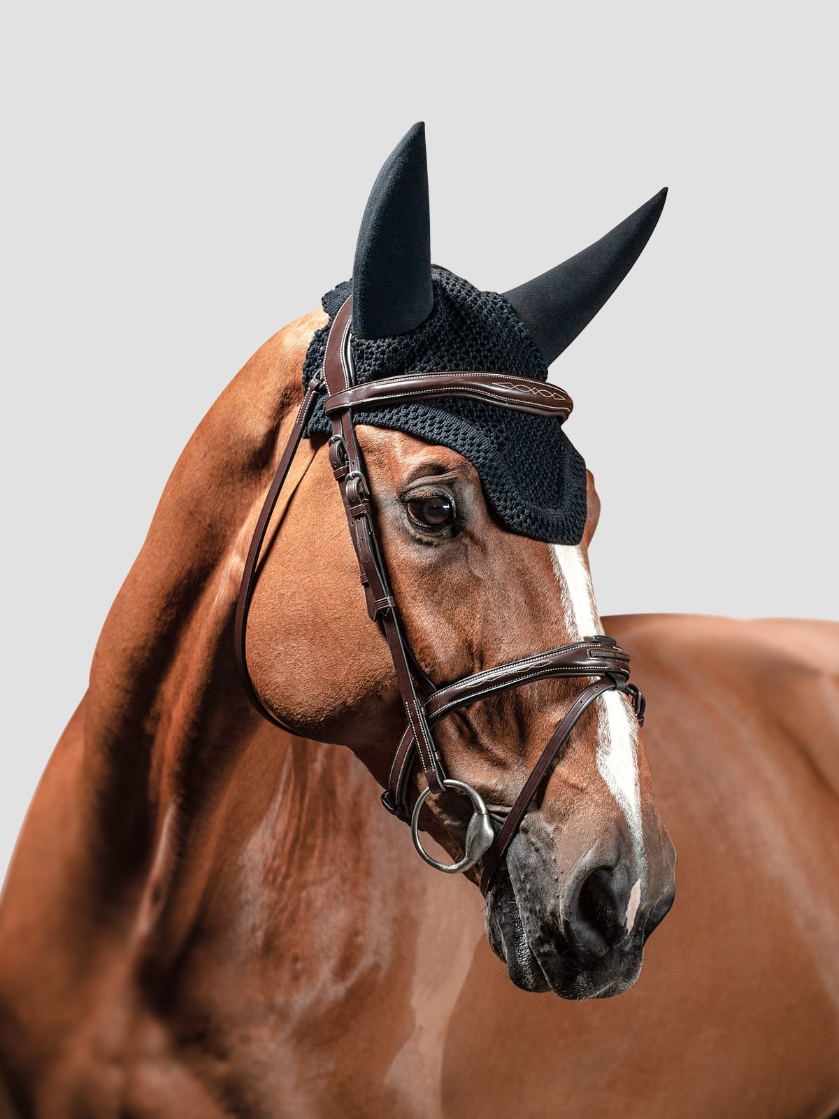Equiline Dave soundproof ear bonnet with square edge in black