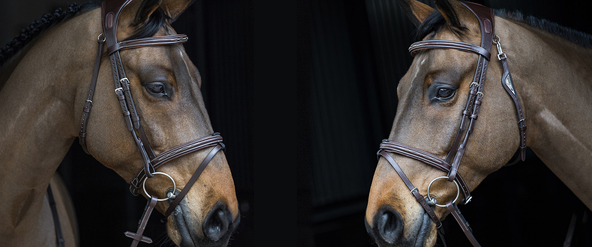 エクイライン EQUILINE ポロシャツ 乗馬ウェア レディース