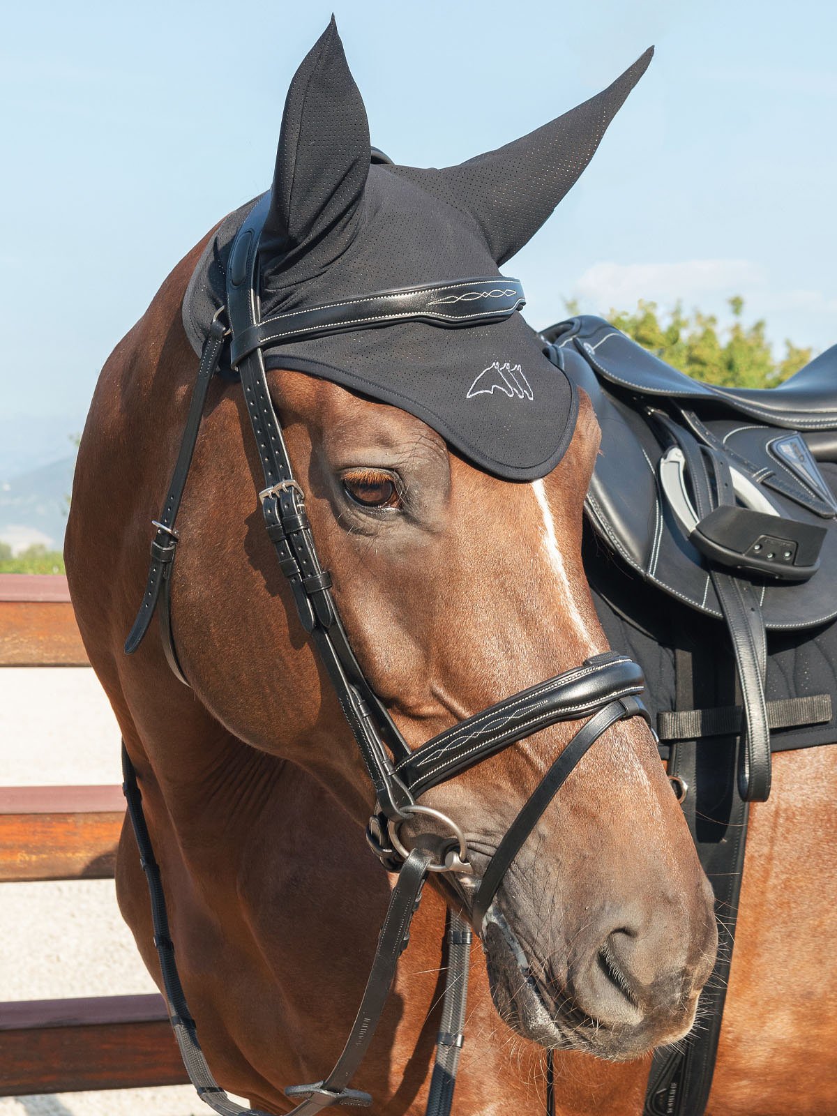 CERROCR TECH MICROHOLE HORSE EAR NET on horse- black