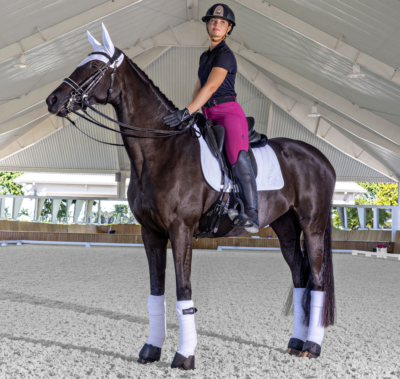 Rider on horse standing at dressage arena