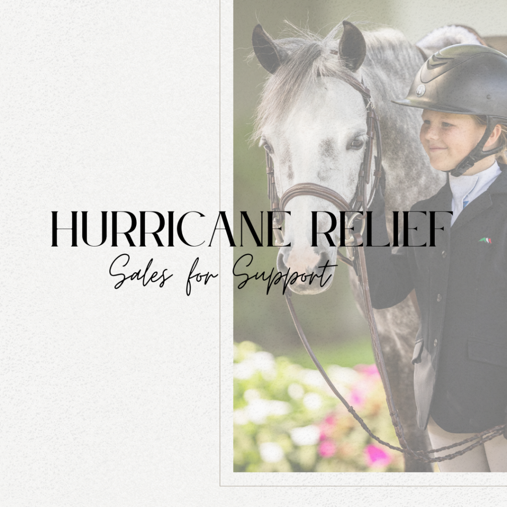 Hurricane Relief 6