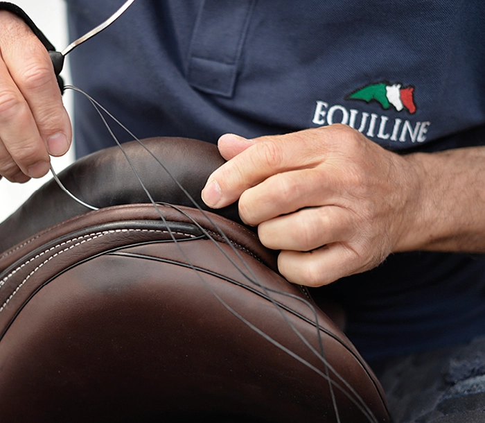 Equiline Saddle Division 1