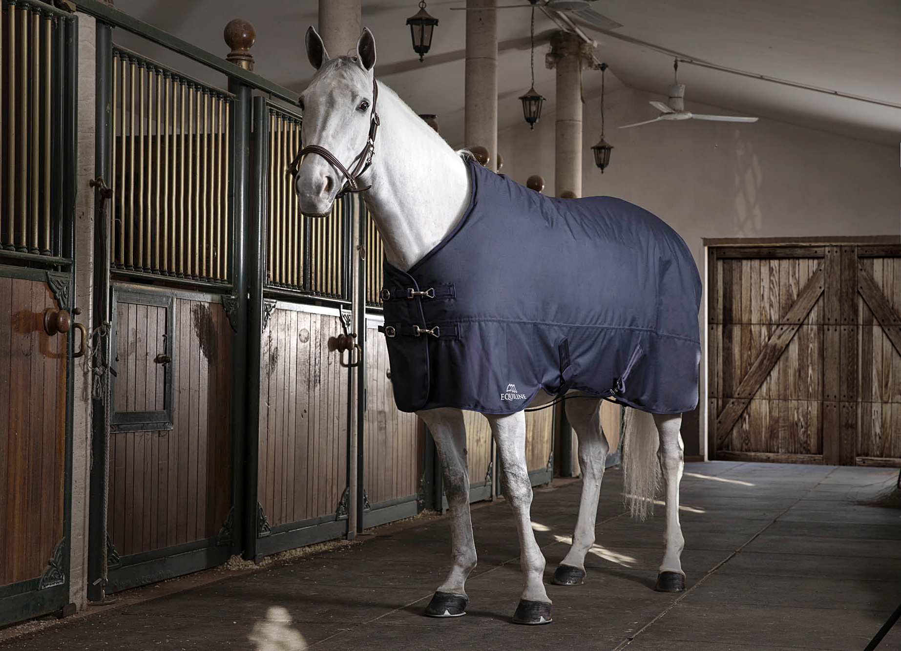 Stable Blankets & Sheets