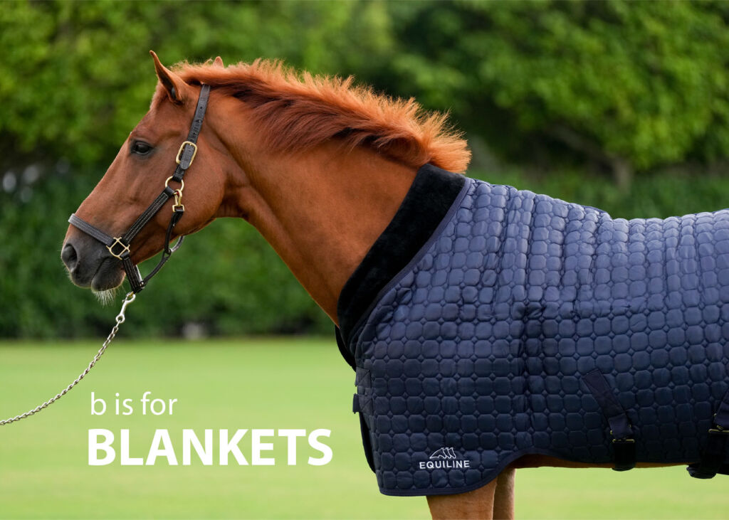 Equiline Gift Guide 6