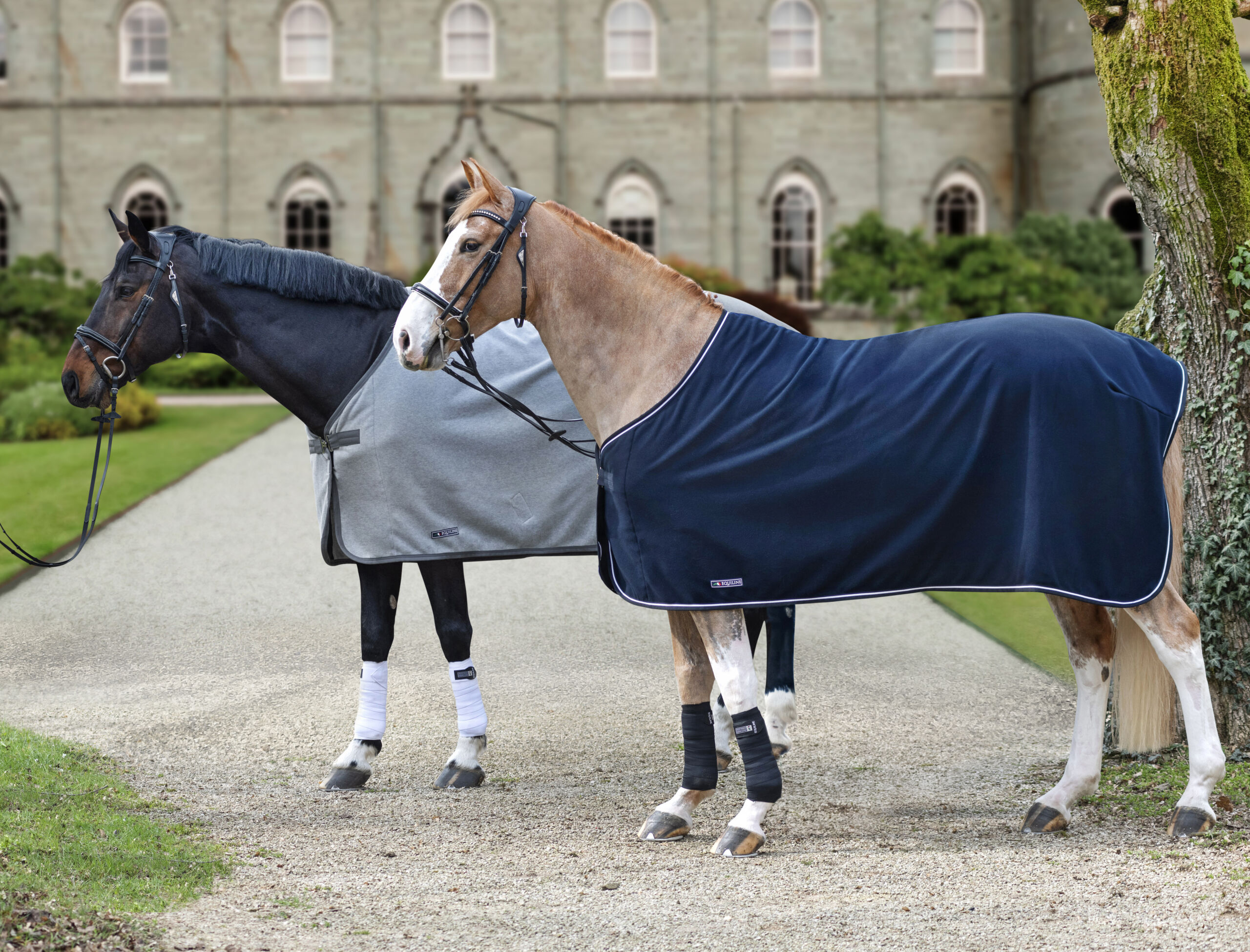 Coolers & Dress Sheets